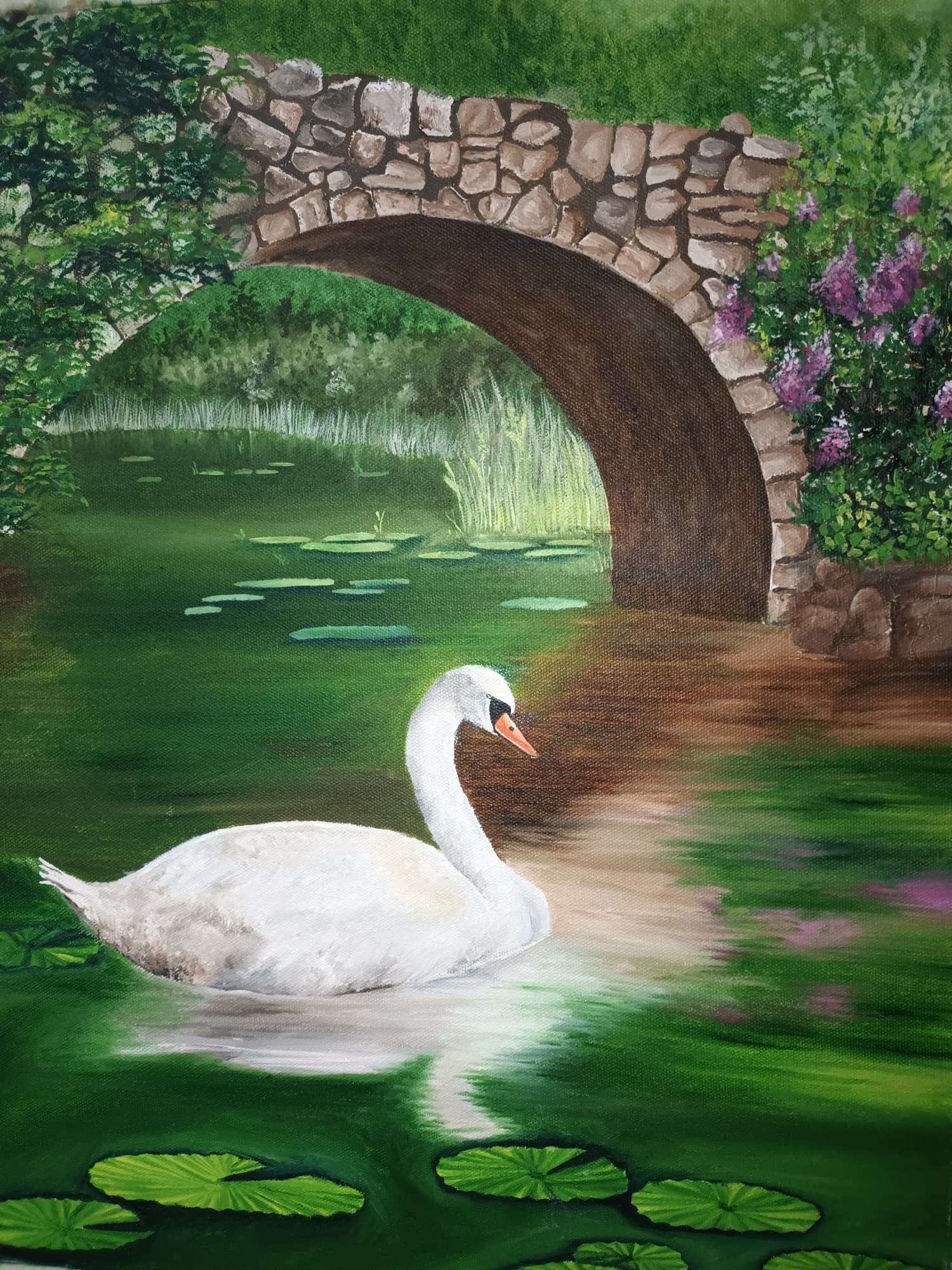 Beautiful swan in english land