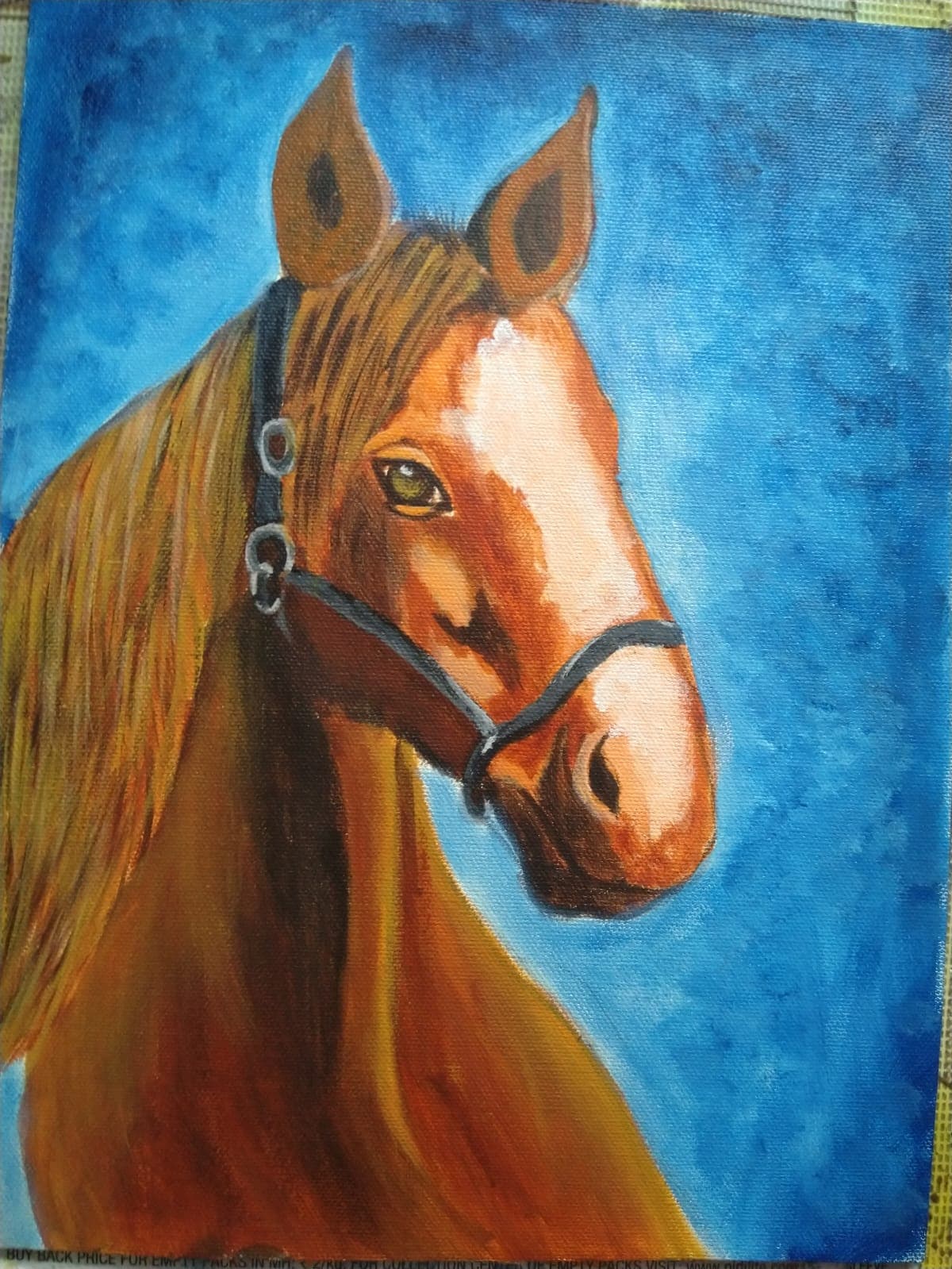 A horse